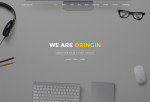 Oringin – Premium Responsive Onepage Drupal Theme
