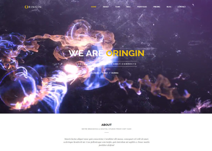 Oringin – Premium Creative Onepage Muse Template