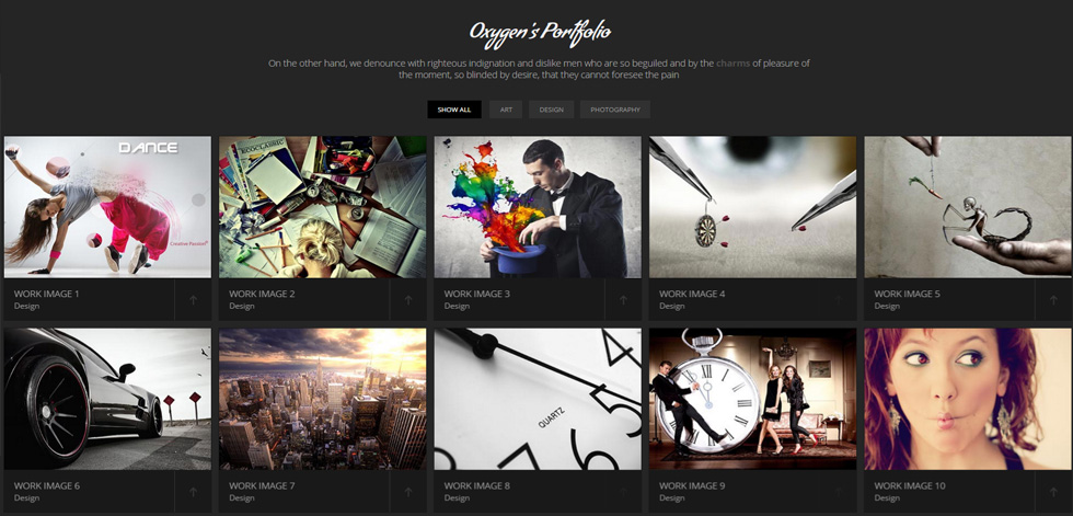 Portfolio