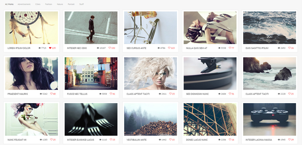 Portfolio