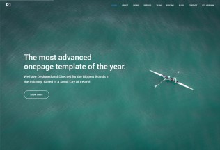 P1 – Premium Responsive One Page Parallax HTML5 Template