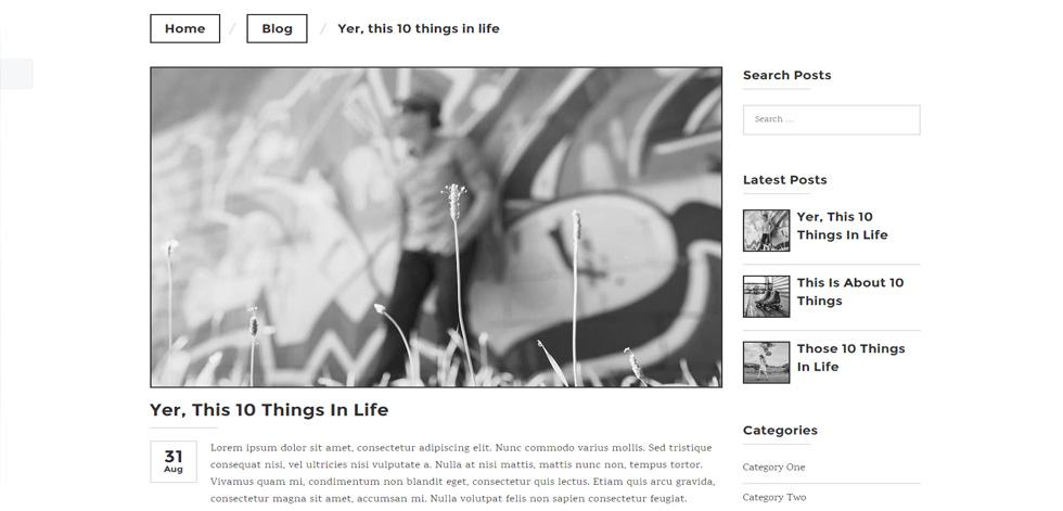 Blog post page