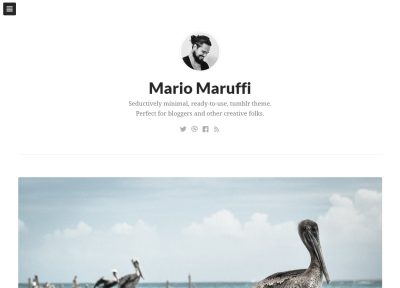 Best Responsive Tumblr Writers Themes in 2014