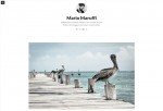 Persona – Premium Responsive Tumblr Theme