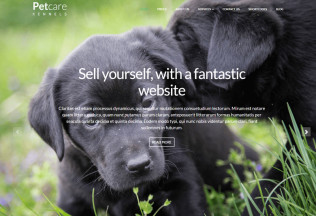 Pet Care – Premium Responsive Dog Kennels WordPress Themes