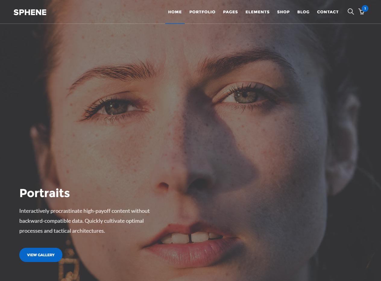 Sphene HTML5 Photography Website Templates