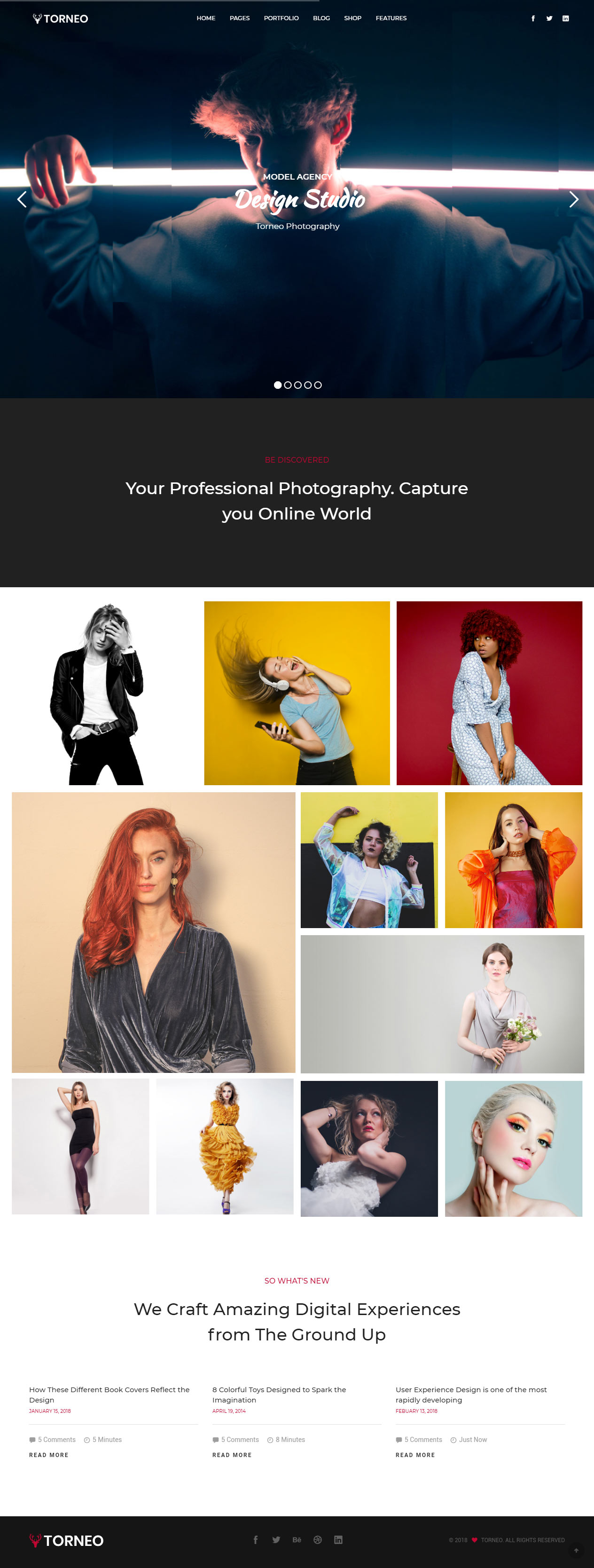 Torneo HTML5 Photography Website Templates