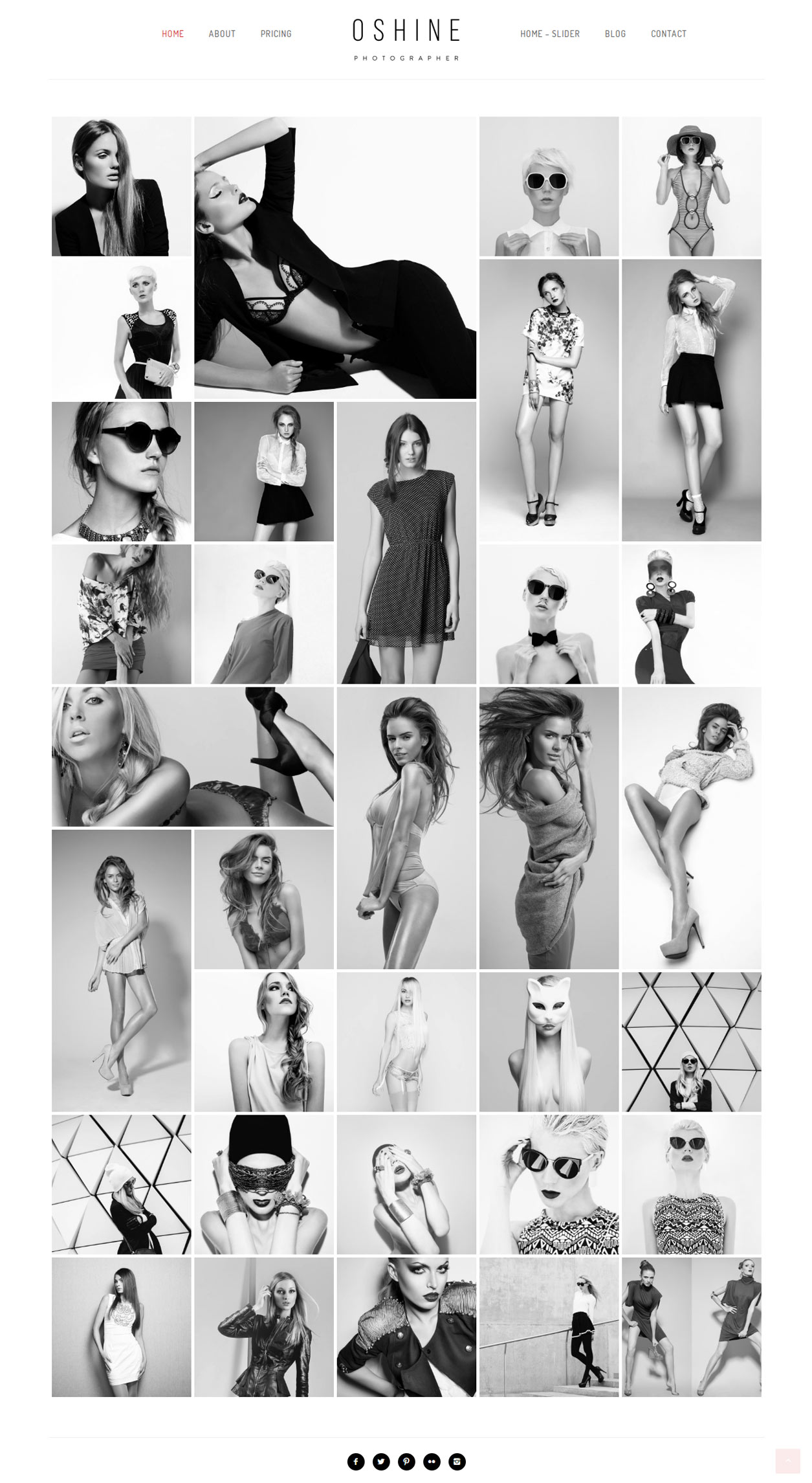 Oshine Best WordPress Photography Themes