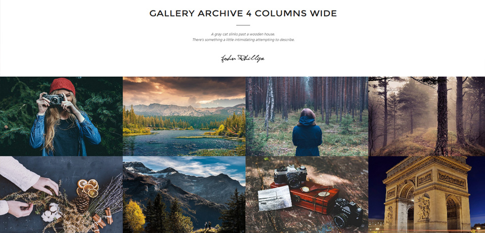 Gallery