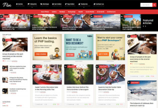 Pin – Premium Responsive Magazine / CV Resume WordPress Theme