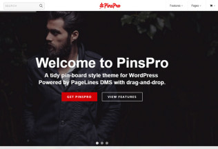 PinsPro – Premium Responsive Pinterest-inspired WordPress Theme
