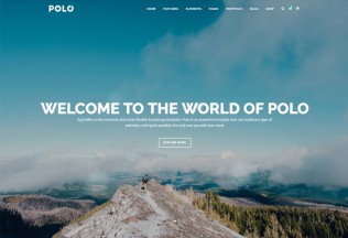 Polo – Premium Responsive MultiPurpose HTML5 Template