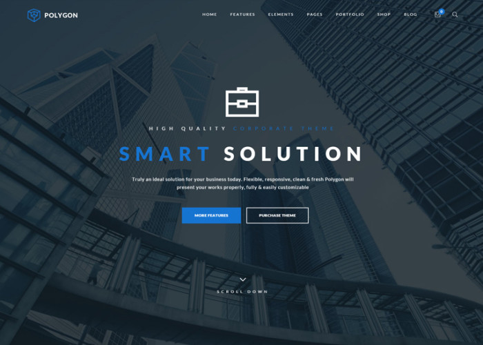 Polygon – Premium Responsive Multipurpose WordPress Theme