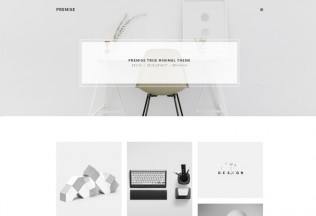 Premise – Premium Responsive Minimal Portfolio Muse Template