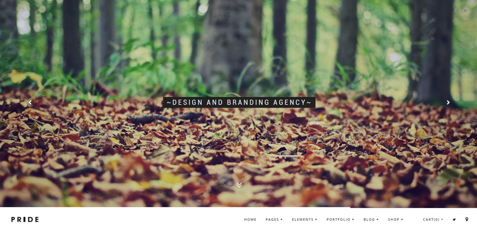 Home page