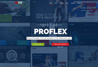 ProFlex – Premium Responsive Multi-Purpose HTML5 Template