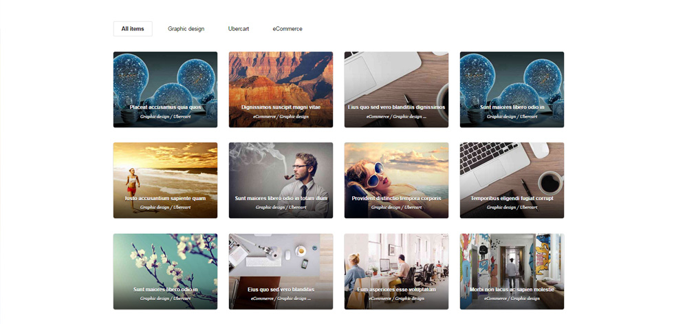 Portfolio