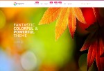 Progressive – Premium Responsive Magento Theme