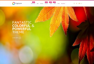 Progressive – Premium Responsive Magento Theme