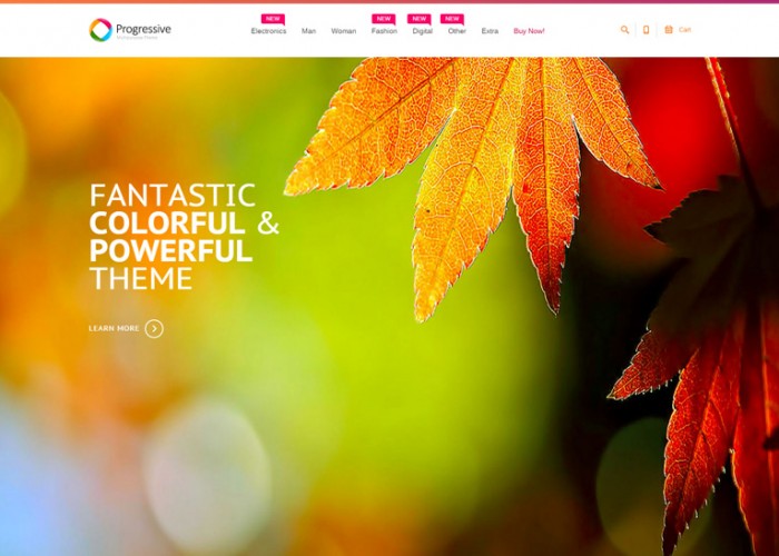 Progressive – Premium Responsive Magento Theme