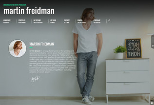Promotion – Premium Responsive Animated CV Resume WordPress Theme