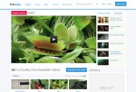 ProVideo – Premium Responsive Drupal Video Theme