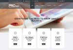 Provise – Premium Responsive Financial Consultancy WordPress Theme