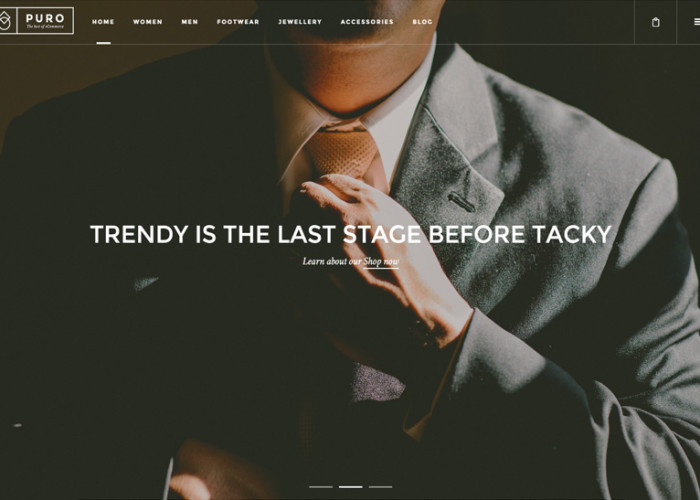 Puro – Premium Responsive Magento Theme