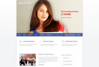 Razor – Premium Responsive WordPress Theme