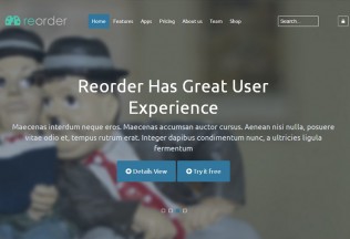 Reorder – Premium Responsive Parallax Joomla Template