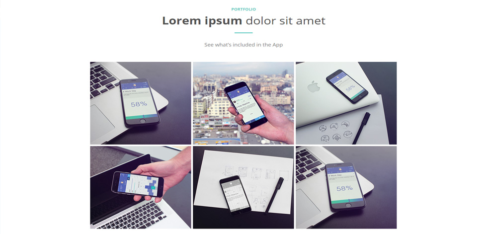 Portfolio