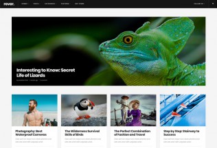Rever – Premium Responsive Clean and Simple Magazine WordPress Theme