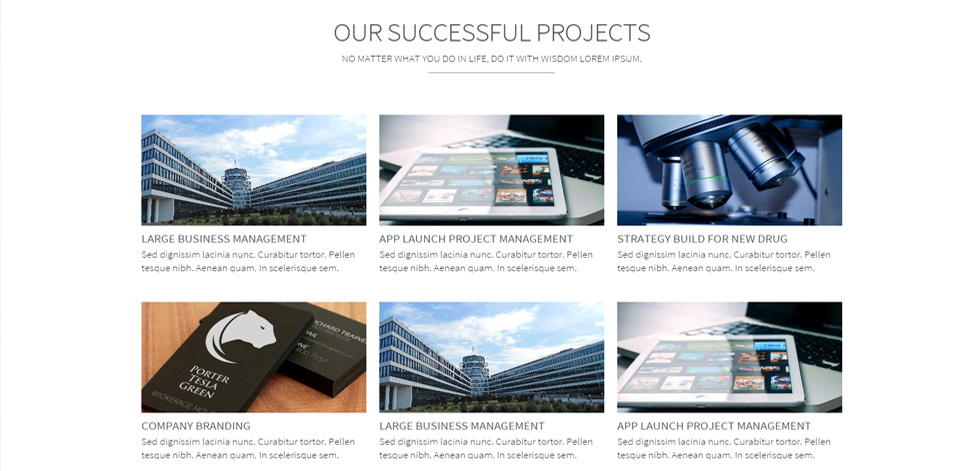 Portfolio