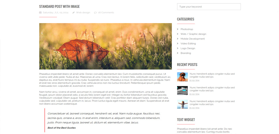 Blog post page