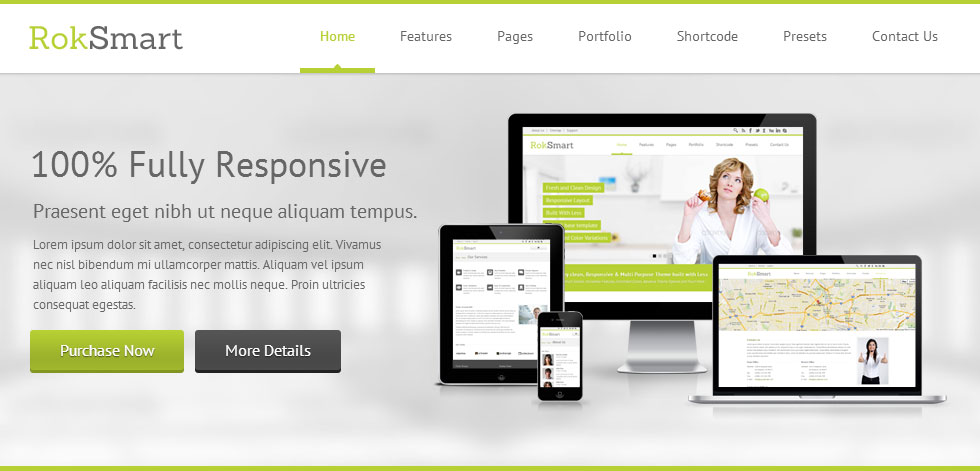 Full responsive Theme
