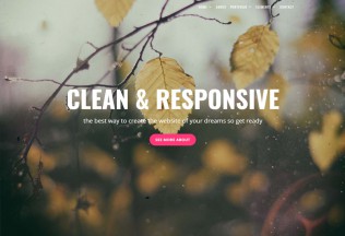 Rose – Premium Responsive Multipurpose One Page Drupal 8 Theme