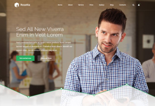 Rosetta – Premium Responsive Multipurpose HTML5 Template