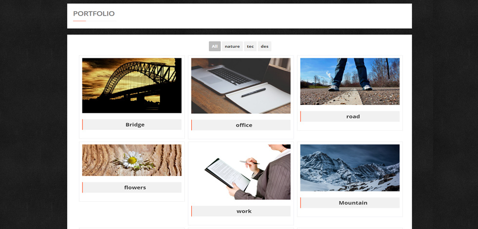 Portfolio