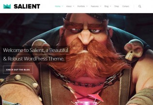 Salient – Premium Responsive WordPress Theme