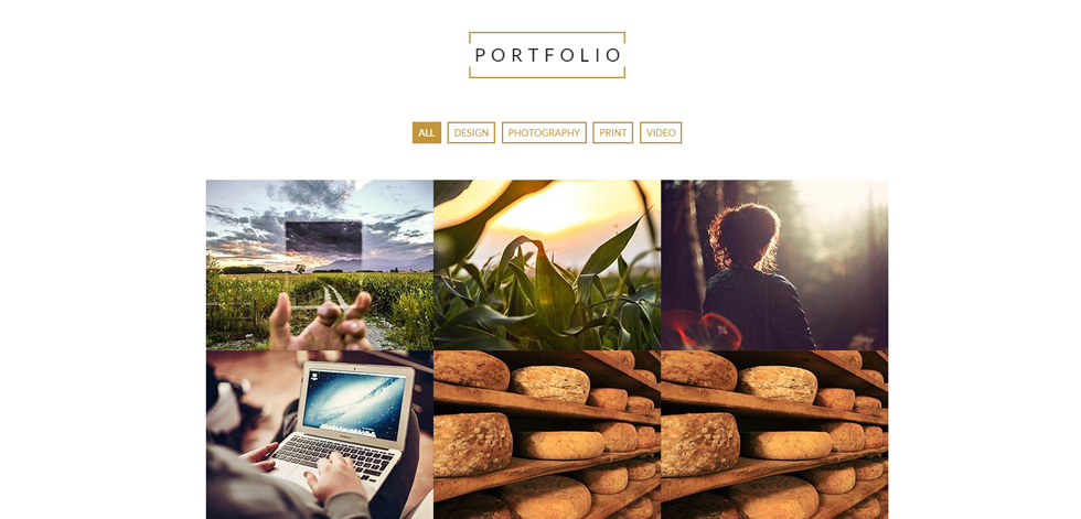 Portfolio