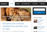 Schema – Premium Responsive Fastest SEO WordPress Theme