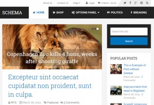 Schema – Premium Responsive Fastest SEO WordPress Theme