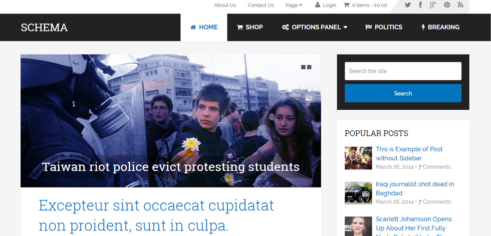 Home Page