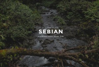 Sebian – Premium Responsive Multipurpose Magento Theme