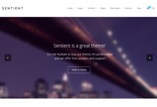 Sentient – Premium Responsive MultiPurpose WorPress Theme