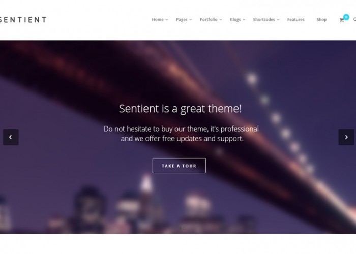 Sentient – Premium Responsive MultiPurpose WorPress Theme