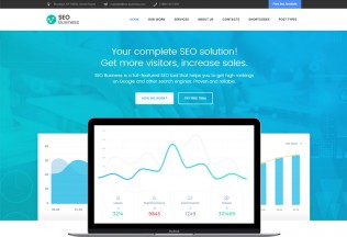 SEO Business – Premium Responsive SEO, Social Media & Marketing WordPress Theme
