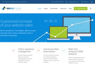 SEO WP — Premium Responsive Digital Marketing Agency WordPress Theme