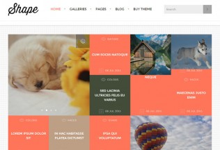 Shape – Premium Responsive Photography WordPress Theme