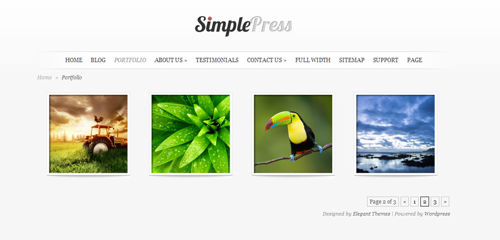 Portfolio